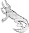Cavendish Croc